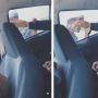 Bak Incar Mangsa, Pria Diduga Tukang Parkir Ilegal Paksa Intip Kaca Mobil sampai Bikin Penumpang Risih