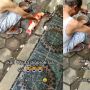 Viral Aksi Pria Paruh Baya Sembelih Ikan Harga Puluhan Juta, Ternyata Bukan Milik Cucunya, Melainkan Hanya Titipan