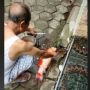 Viral Video Mbah-mbah Potong Ikan Hias Harga Puluhan Juta, Warganet Ramai Membela