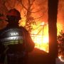 Seluas 10 Ribu Hektare Kawasan Hutan di Barat Daya Prancis Terbakar