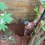 Video Viral Orang Ini Temukan dan Gali Tiga Buhul Santet di Rumahnya, Ada Kain Kafan hingga Tulang