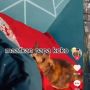 Viral Kisah Lelaki Tinggalkan Kucingnya untuk Pulang Kampung, Pas Balik Sudah Habis Dilahap Ular Sanca