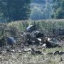 Penampakan Puing-Puing Pesawat Kargo Antonov An-12 yang Jatuh di Yunani