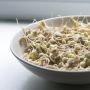Ini 6 Manfaat Sayur Toge, Bisa Bantu Pencegahan Anemia Lho