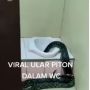 Penampakan Sosok Seram di Kamar Mandi Bikin Merinding