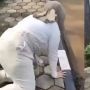 Ikutan Kerjai Wanita Berhijab Pakai Anjing Pelacak, Polisi Ini Bikin Netizen Geram