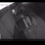 Viral Aksi Pencurian Daksina di Ungasan Terekam CCTV, Pelaku Mengenakan Kain yang Dililit