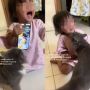 Bocah Nangis Langsung Diam Didatangi Kucing Kesayangan: Teman Curhat Paling Setia