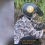 Aksi Heroik Wanita Selamatkan Anak Anjing Terkubur di Pinggir Jalan Tuai Pujian