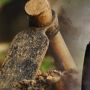 Jaringan Otak Brigadir J Disebut Ditemukan di Bagian Dada, Kemungkinan Apa yang Terjadi?