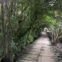 Warga Desa Adat Intaran Tanam Mangrove, Dukung Gubernur Bali Dan Tolak Terminal LNG