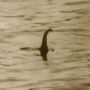 Temukan Fosil Misterius, Ilmuwan Ungkap Kebenaran Monster Loch Ness