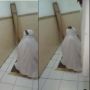 Lagi Salat, Perempuan Ini Dibuat Panik Gegara Tikus Berjalan di Kepalanya, Warganet: Lebih Seram dari Makmum Gaib