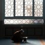 Surat Al Ikhlas Latin dan Artinya, Lengkap dengan Keutamaan Membacanya