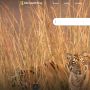 OpenAI Rilis Versi Terbaru GPT-4 di Microsoft Bing