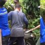 Dikira Sepeda Motornya Hilang, Pria Ini Lupa Taruh Hingga Dipenuhi Rumput