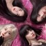 Fakta-fakta Menarik Single Pink Venom yang Dirilis oleh BLACKPINK