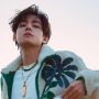 Cerita Saat Satu Pesawat dengan V BTS di Penerbangan ke Paris, Pasangan Ini Malah Kena Hujat ARMY