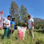 NPK Pelangi JOS PKT Kembali Buktikan Kualitas, Produktivitas Bawang Merah di Kintamani Naik 24 Persen