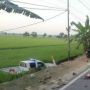Truk Tronton Tabrak Mobil Patroli Polisi hingga Nyungsep ke Sawah