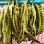 6 Manfaat Petai untuk Kesehatan, di Balik Bau Menyengat Menyimpan Banyak Nutrisi