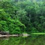 Pesona Wisata Taman Nasional Meru Betiri, Surganya Fauna dan Flora Langka