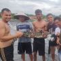 Bikin Resah, Buaya Muara Masuk Tambak Udang Warga di Agam Akhirnya Tertangkap