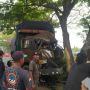 Truk Ringsek Parah Usai Tabrak Pohon di Lamongan, Pengakuan Sopir Mengejutkan