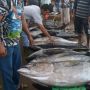 Sumbar Ekspor 20 Ton Ikan Tuna Beku ke Amerika Serikat pada Juli 2022
