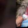 Video Viral Bikin Pilu! Cewek Ini Nabung Uang hingga Banyak Tapi Malah Dimakan Rayap
