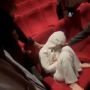 Viral Video Perempuan Bikin Geger saat Nonton Pengabdi Setan 2, Dikira Pingsan Ternyata Ketiduran
