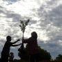 295 Hektar Lahan Mangrove Kena Rehabilitasi Pelindo