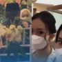 Viral Nenek Nikah Lagi, Cucu-cucunya Masih Jomblo Cuma Bisa Menangis Haru, Publik: Lah Masih Cantik