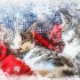Sejarah Hari Kucing Sedunia dan Cara Merayakannya