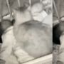 Bayi Nangis Setiap Tidur, Setelah Lihat di CCTV Ternyata Ini Penyebabnya
