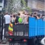 Puluhan Bule Naik Truk Sapi Bikin Netizen Ngakak: Dipikir Mereka Keren Padahal Kere