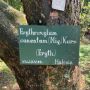 Biji Koka dari Indonesia Diselundupkan, Pohon Koka di Kebun Raya Bogor Perlu Diteliti