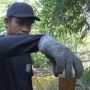 Air Sungai di Purwakarta Berubah Jadi Hitam dan Bau, Petani Ketakutan