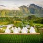 4 Rekomendasi Hotel Terbaik di Bali, Cocok Untuk Healing Enggak Bikin Kantong Jebol