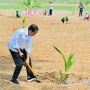 Bisa Jadi Gula Semut Hingga Minyak Kelapa, Jokowi Bakal Siapkan Industrialisasi Kelapa Genjah
