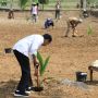 Maksimalkan Lahan Tak Produktif, Presiden Jokowi dan Ganjar Tanam Bibit Kelapa Genjah di Boyolali