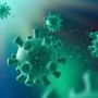 Fakta Virus Langya, Termasuk Golongan Virus Nipah yang Mematikan