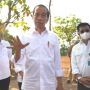 Manfaatkan Lahan Tak Produktif, Presiden Jokowi Targetkan Tanam 1 Juta Kelapa Genjah