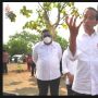 Manfaatkan Lahan Tidak Produktif, Jokowi Targetkan Penanaman 1 Juta Kelapa Genjah