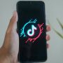 TikTok Tambahkan Picture in Picture, Bikin Mudah Temukan Bagian yang Diinginkan