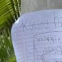 Viral Bocah Kehilangan Kucing Kesayangannya, Poster di Tiang Listrik Buatan Tangannya Curi Perhatian