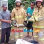 Pria Ini Temukan Hal Tak Terduga Saat Beri Makan Ternak Burung Puyuh