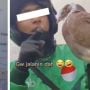 Kocak! Deretan Orderan Unik Driver Ojol: Terbangkan Burung Dara sampai Bangunkan Pacar