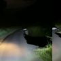 Video Viral Naik Motor di Jalanan Gelap, Warganet Ini Rekam Hal Mengerikan