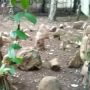Ajaib! Circle Stone di Tasikmalaya Ini Bisa Bikin Gadget Akses Internet meski tanpa Kuota
